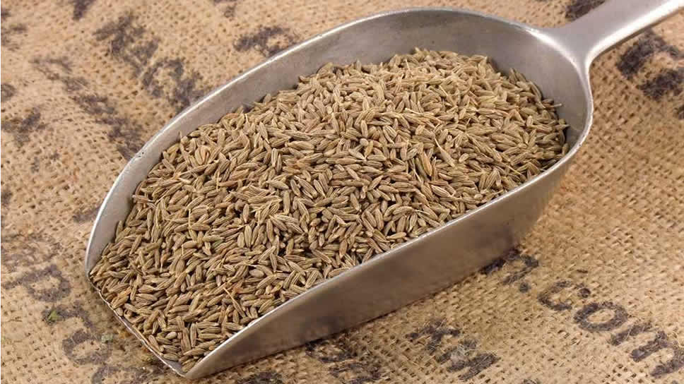 Wheat Image